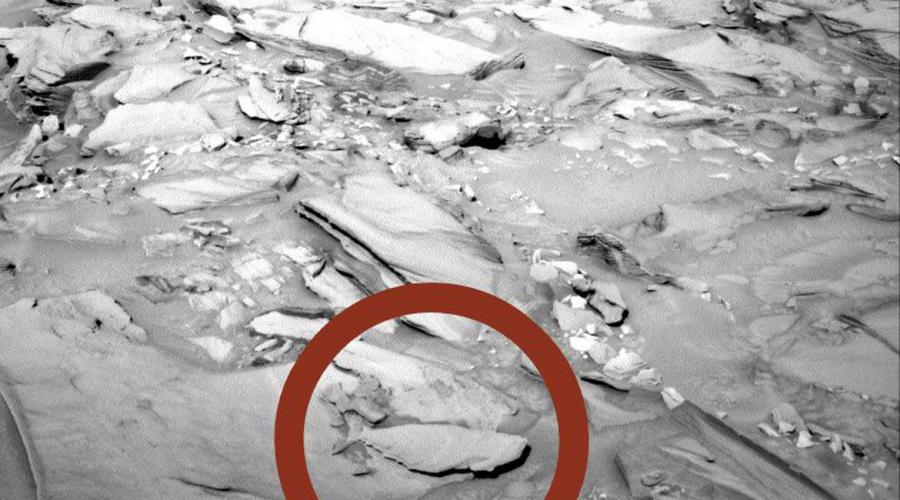 Свежие снимки с марса. Фото странных объектов, обнаруженных NASA на Марсе